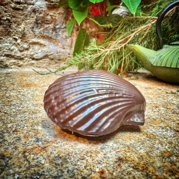 Conchiña de Gianduja